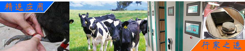 高性能環(huán)氧耐熱耐紫外專用促進(jìn)劑，應(yīng)用于戶外和高溫環(huán)境