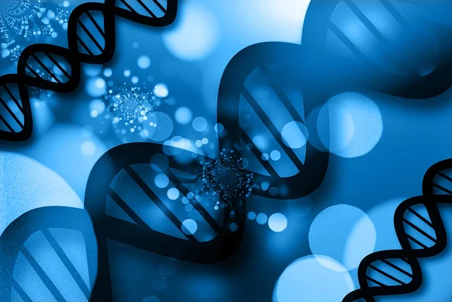 低氣味反應(yīng)型胺催化劑，通過(guò)共反應(yīng)，消除催化劑殘留和氣味